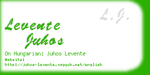 levente juhos business card